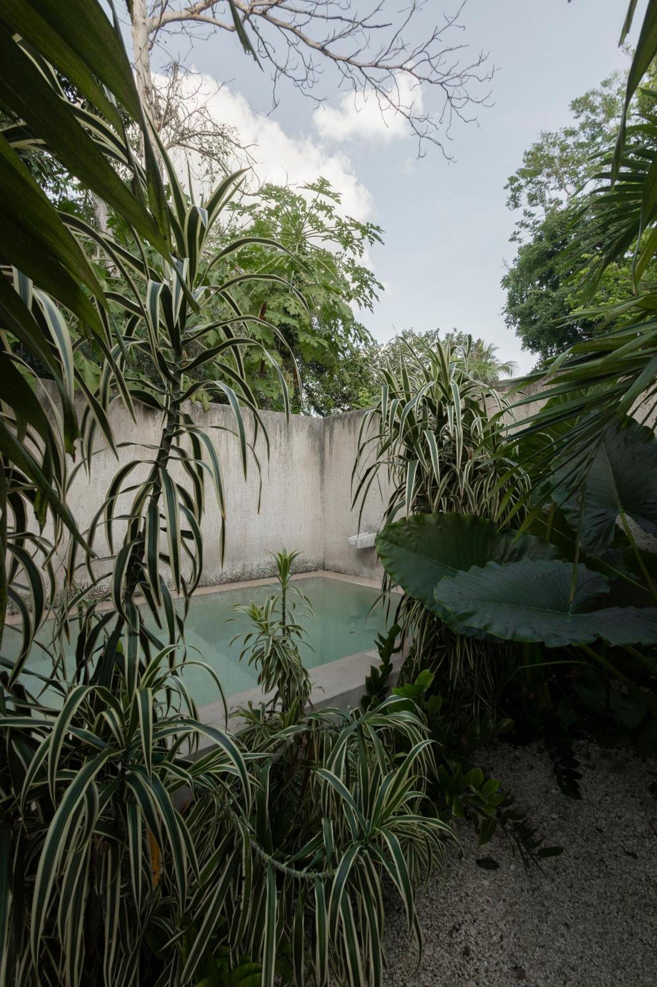 La Sultana Amazing New House With Pool Villa Valladolid  Exteriör bild