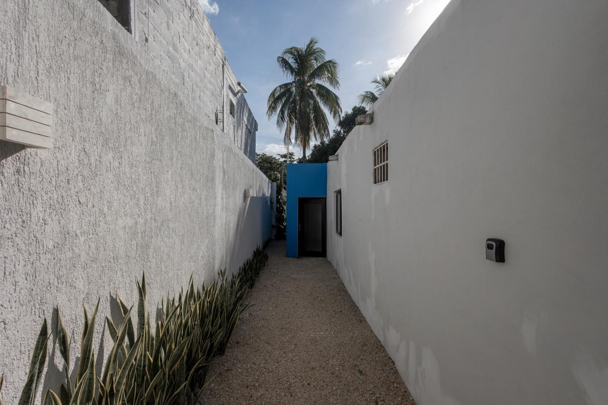 La Sultana Amazing New House With Pool Villa Valladolid  Exteriör bild